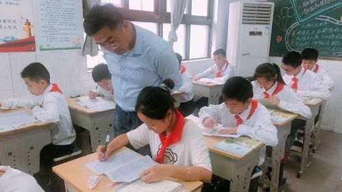 督導清風入校來，指導發展潤無聲——東臺創新小學迎雛陽投資與創新教育集團綜合督導記